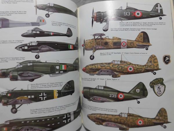 洋書 第二次大戦イタリア空軍 1943-1945 写真資料本 REGIA AERONAUTICA Vol.2 squadron/signal publications 1986年発行[1]B0776_画像6