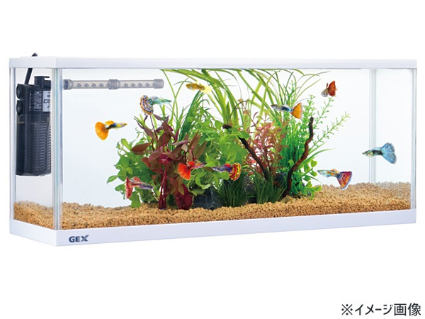 GEX デスクボーイ WH600 熱帯魚 観賞魚用品 水槽 セット水槽 ジェックス 同梱不可 送料無料_画像4