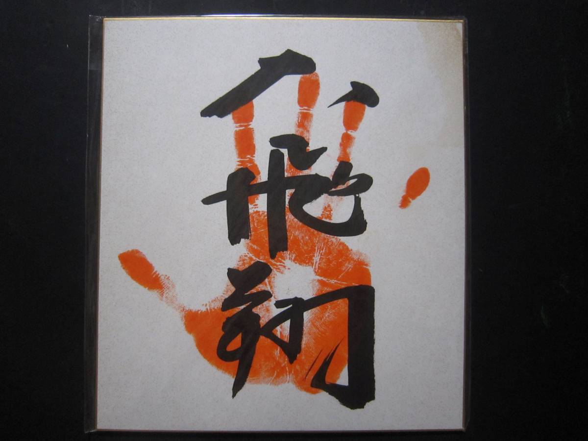 大相撲 大飛翔 幕内 手形 サイン 7の画像1