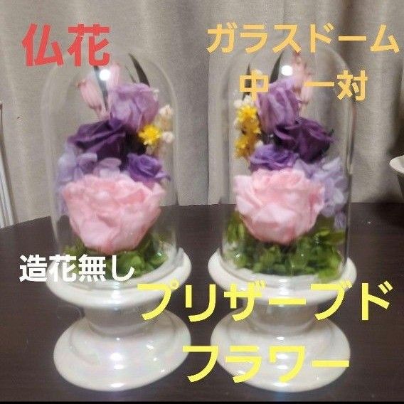 特選仏花　お供え花　ガラスドーム　中　一対　造花無し　プリザーブドフラワー