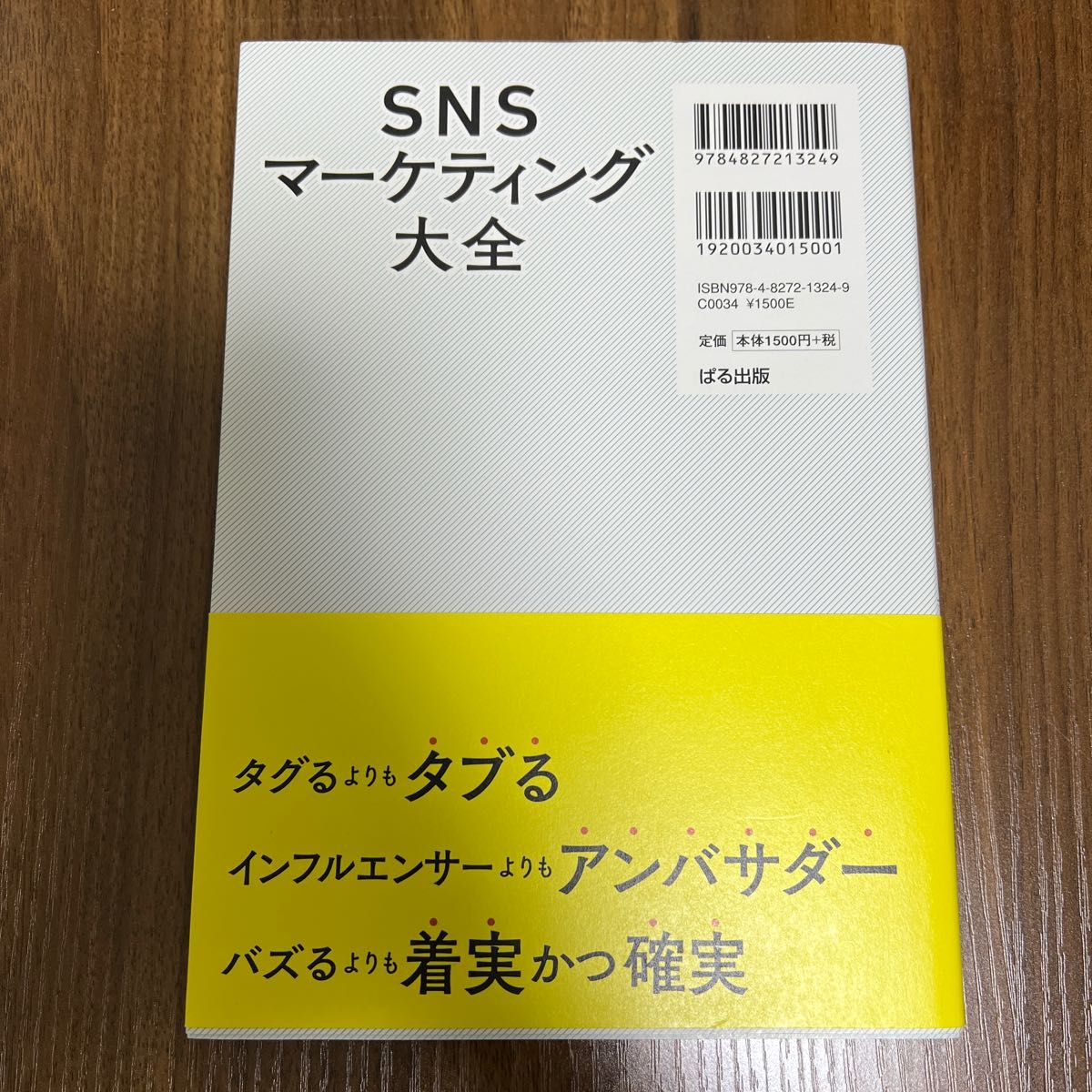 SNSマーケティング大全 門口妙子/著 坂本翔/監修