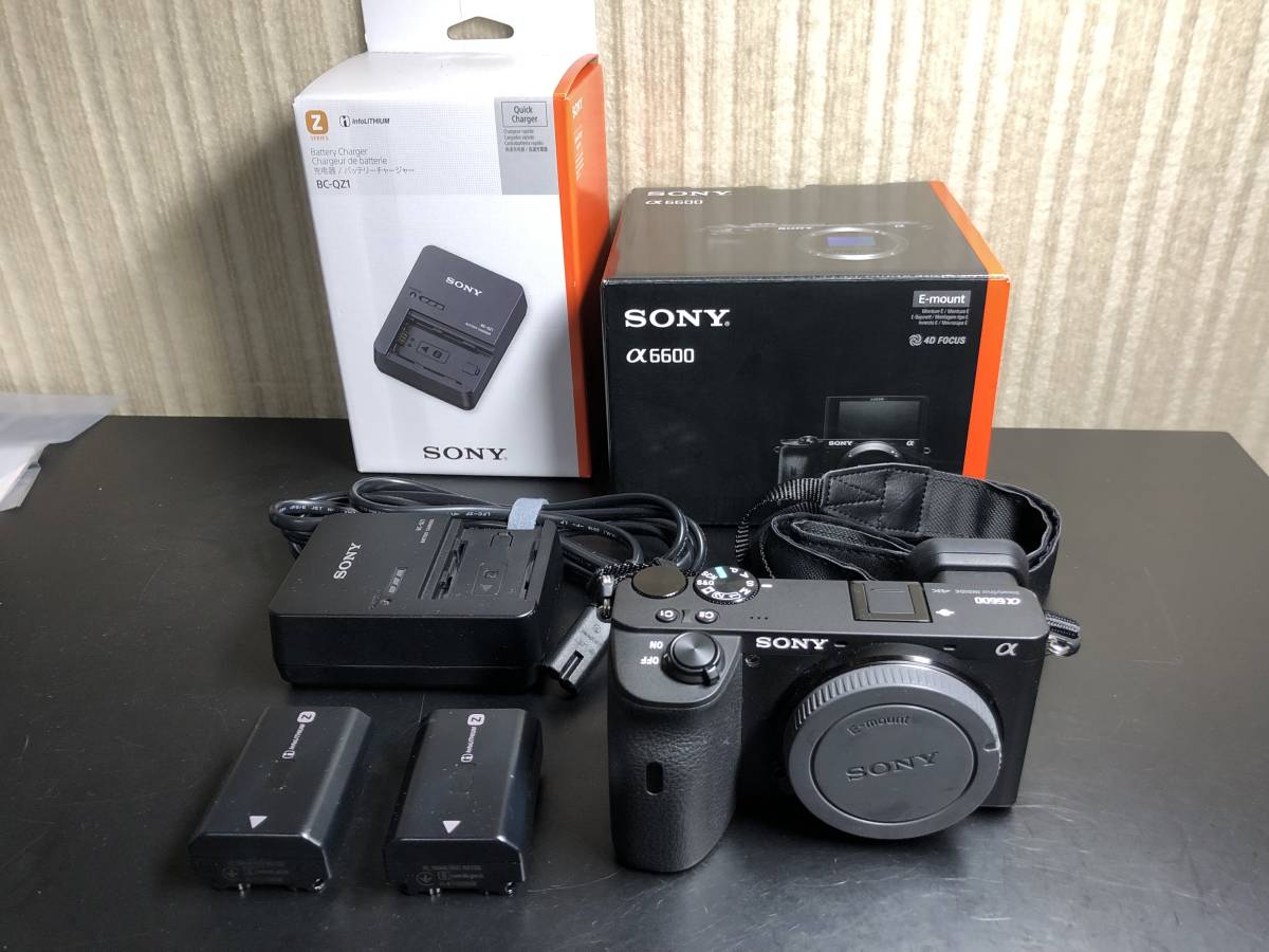 驚きの価格 ミラーレス一眼 α6600(a6600) sony ソニー 美品 おまけ付き オーバーホール済み ソニー 驚きの価格 ミラーレス一眼 α6600(a6600) sony ソニー 美品 おまけ付き オーバーホール済み ソニー