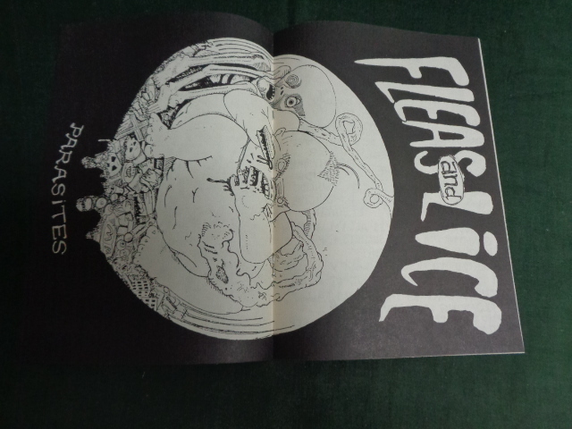 FLEAS AND LICE/GLOBAL DESTRUCTION●MINI LP_画像4