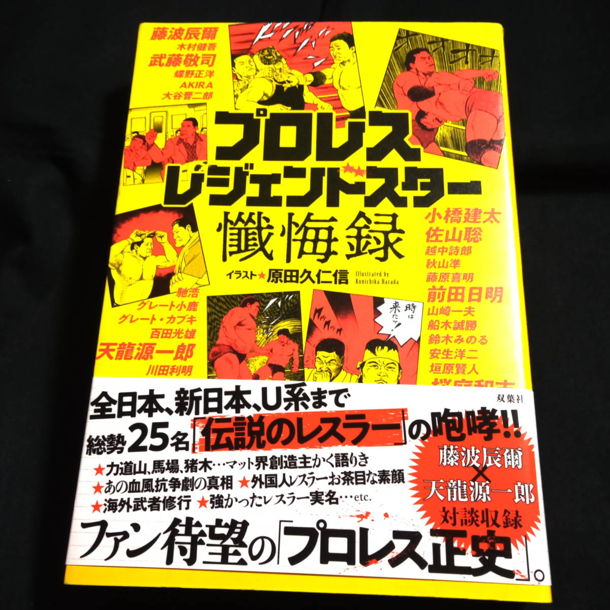 ★ほぼきれい★プロレスレジェンドスター懺悔録_画像1