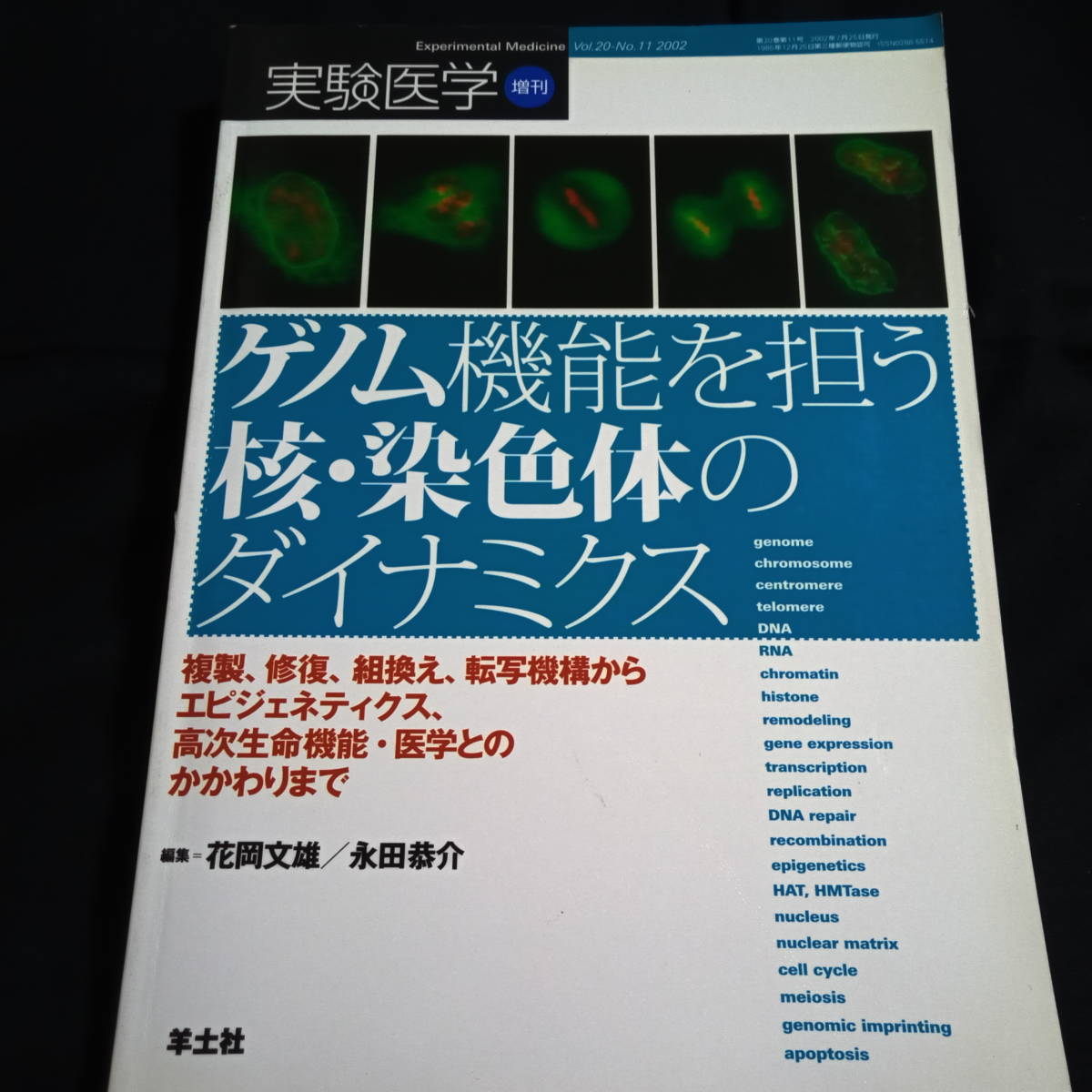 実験医学増刊　ゲノム機能を担う核・染色体のダイナミクス_画像1