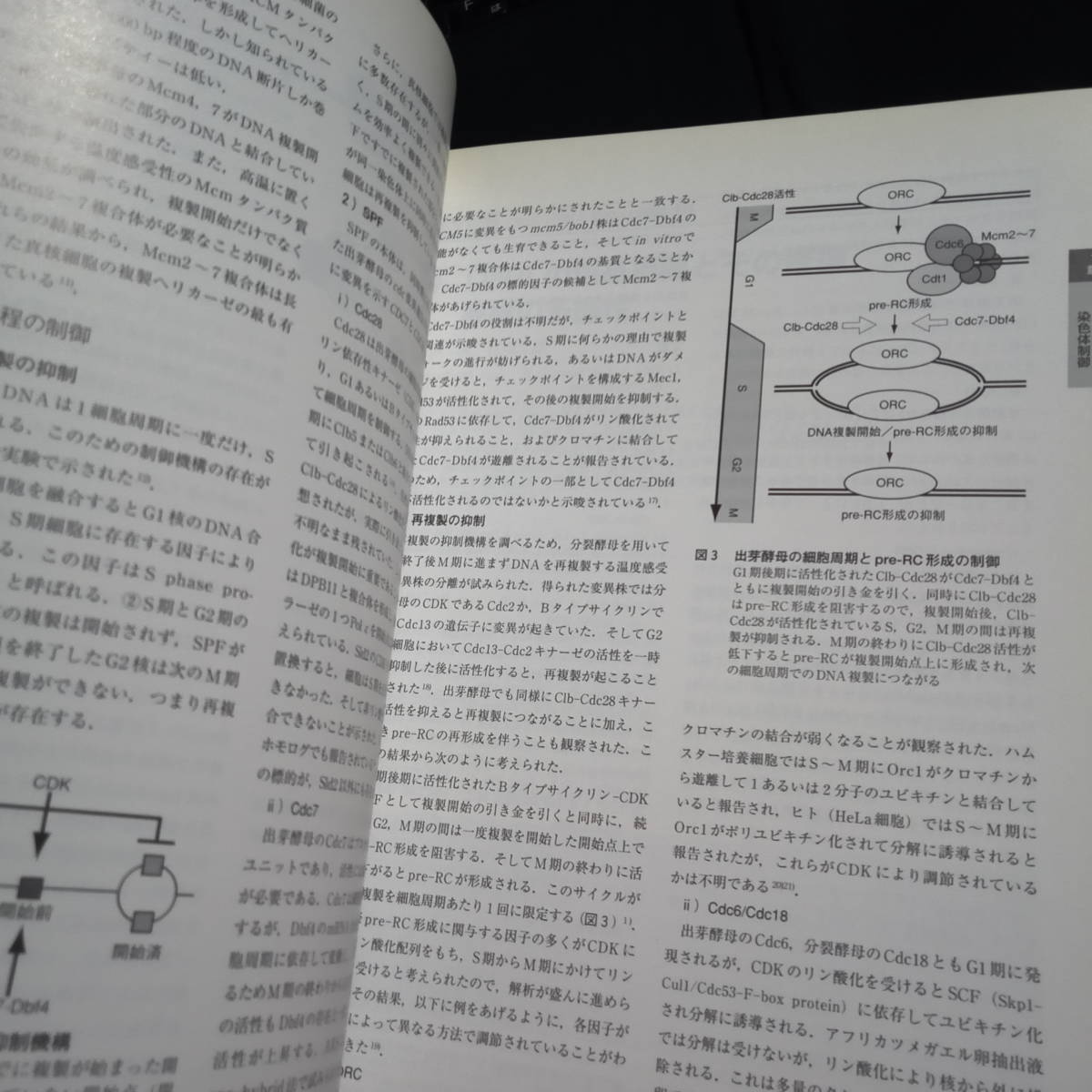 実験医学増刊　ゲノム機能を担う核・染色体のダイナミクス_画像3