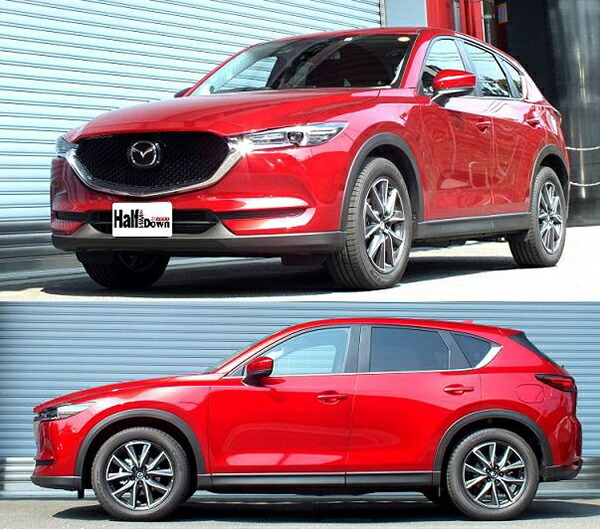 RS-R Ti2000ハーフダウン フロント左右セット ダウンサス CX-5 KF2P M502THDF RSR RS★R Ti2000 HALF DOWN ダウンスプリング ローダウン_画像2