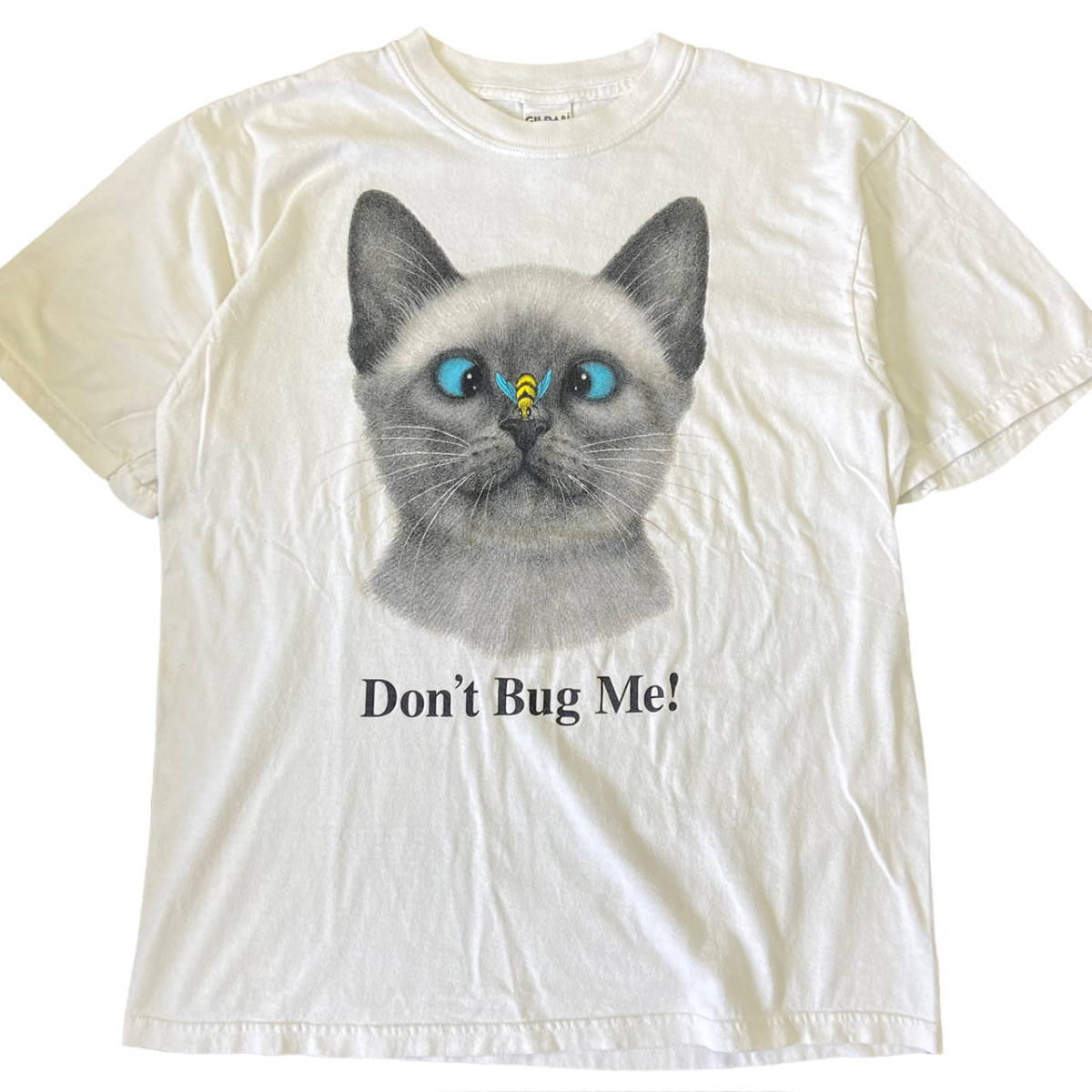00s Don't Bug Me! 猫 Tシャツ M ホワイト アニマル ネコ ハチ 蜂 Cat ペット 動物 イラスト 半袖 90s ヴィンテージ