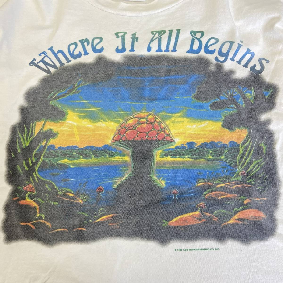 1995 USA製 THE ALLMAN BROTHERS BAND Tシャツ オールマン ブラザーズ バンド ハーレー風 ロゴ ツアー バンT ロックT 90s ヴィンテージ _画像4