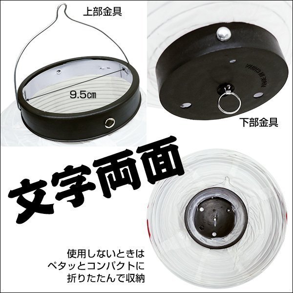  lantern saucepan thing various [2 piece set ]45cm×25cm character both sides lantern white regular size /10