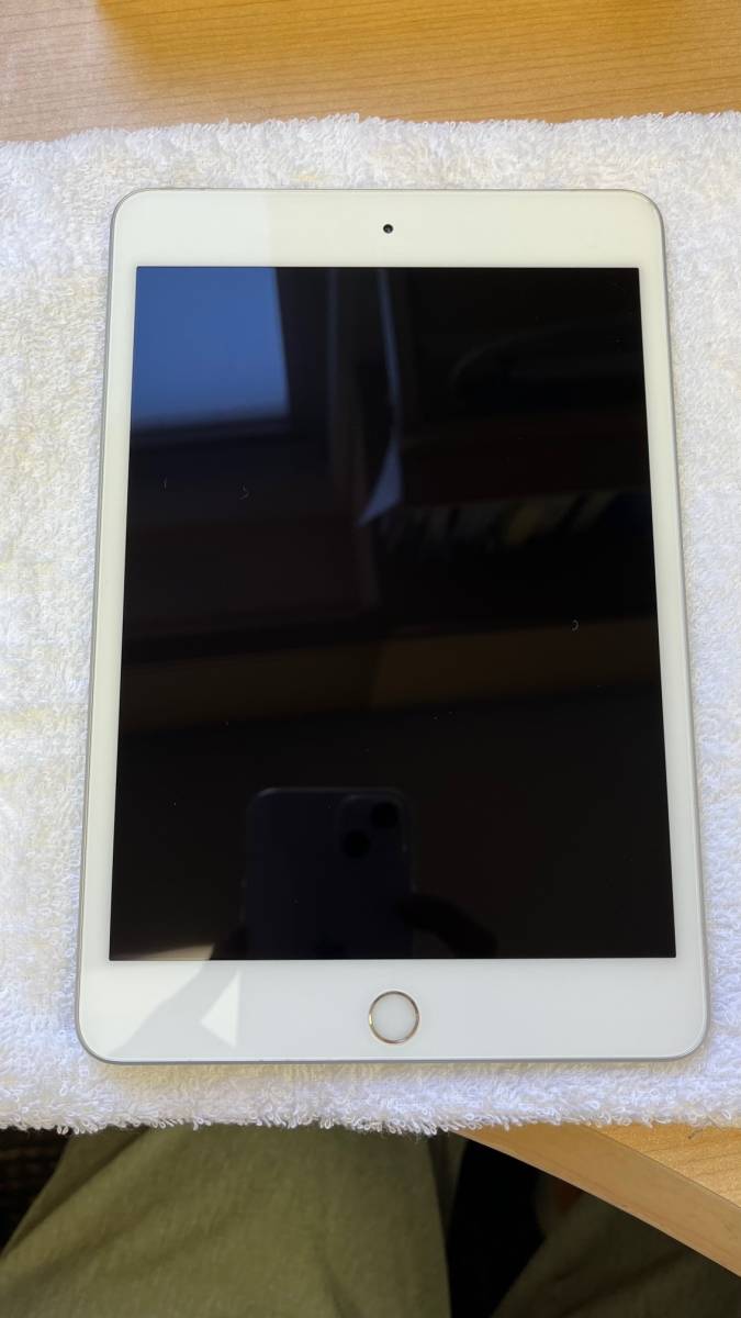 iPad mini 7.9インチ 第5世代 Wi-Fi+Cellular 64GB MUX62J/A SIMフリー