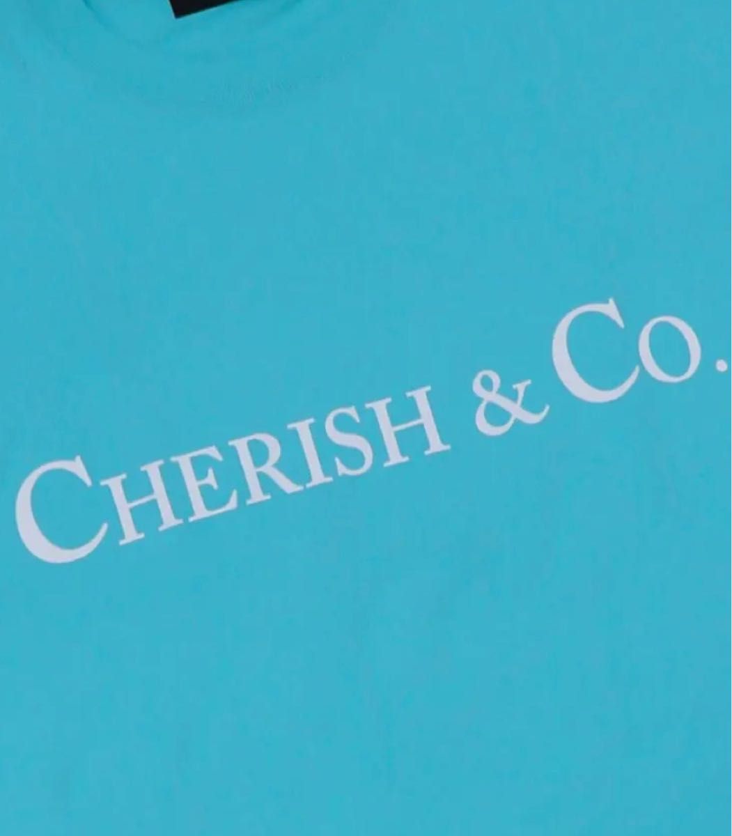 A0023-310】CHERISH ＆ CO S/STEE ミントグリーン SAPEur Tシャツ