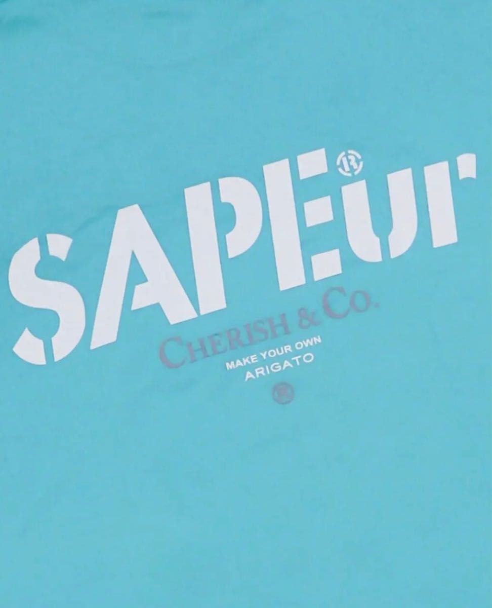 A0023-310】CHERISH & CO S/STEE ミントグリーン SAPEur Tシャツ