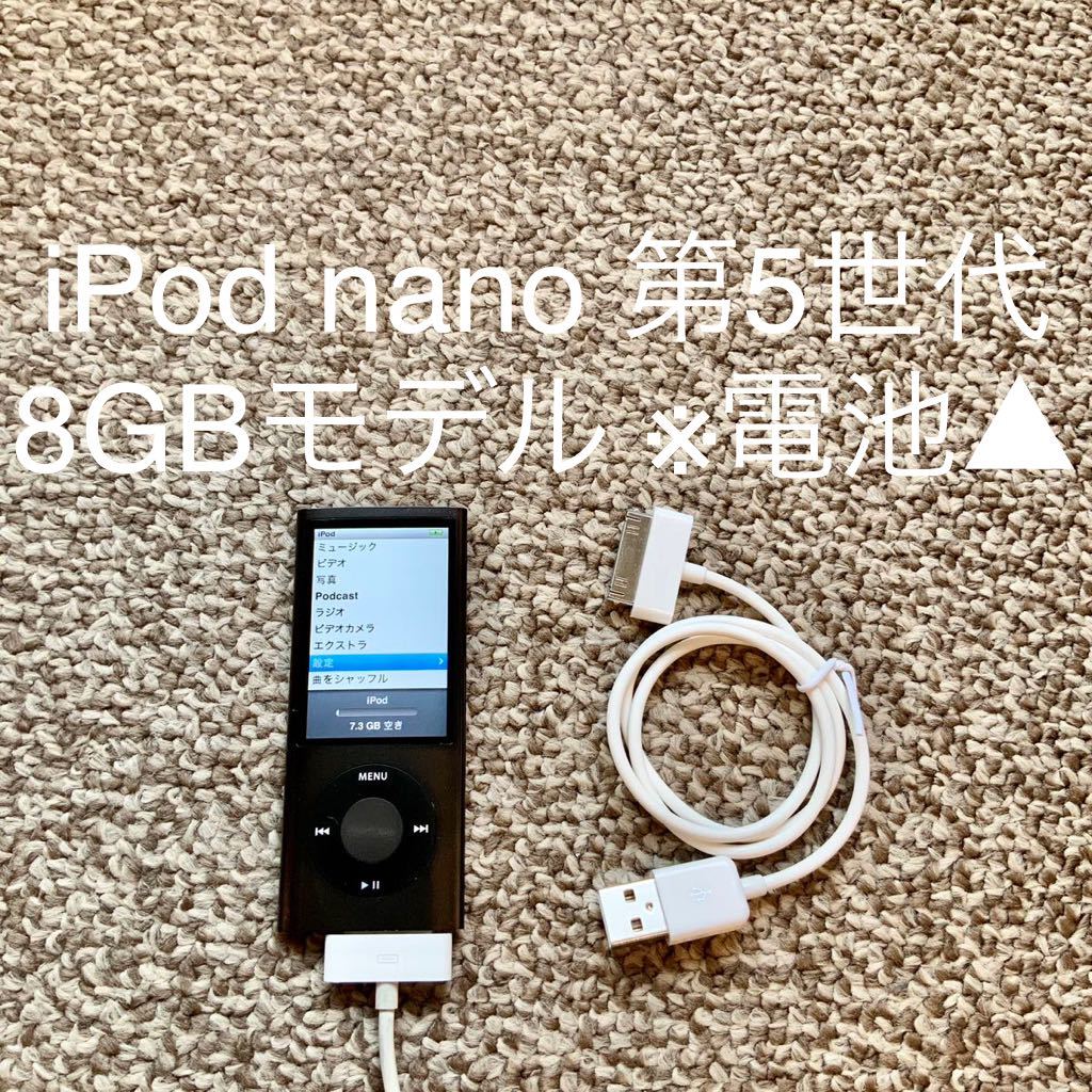 送料無料】iPod nano 第5世代 8GB Apple アップル A1320 アイポッド