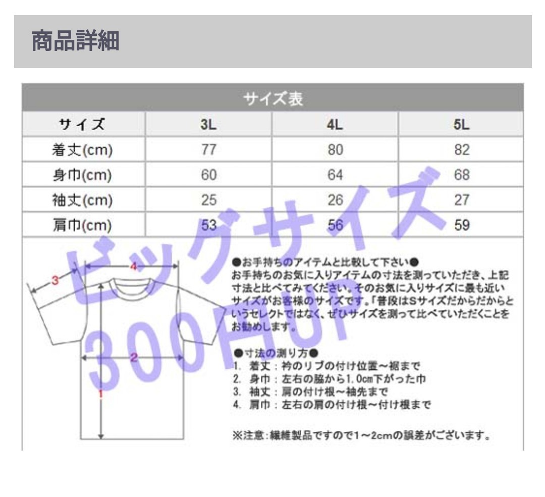 HEXA文字Tシャツ スカイブルー　サイズ ５Ｌ ボウリング　シャツ　ウェア _画像5