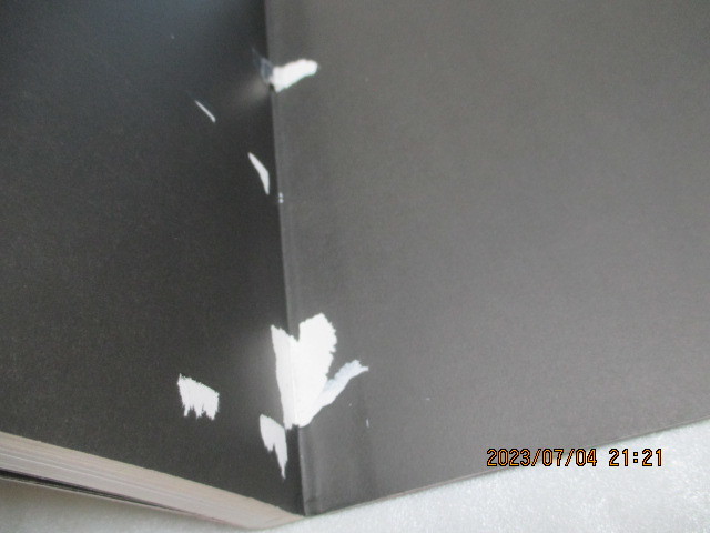 図録 　『前田寛治の芸術 　　詩情と造形』　　1999年 　　　　_表紙の内側余り紙2ページ部分的に剥がれ