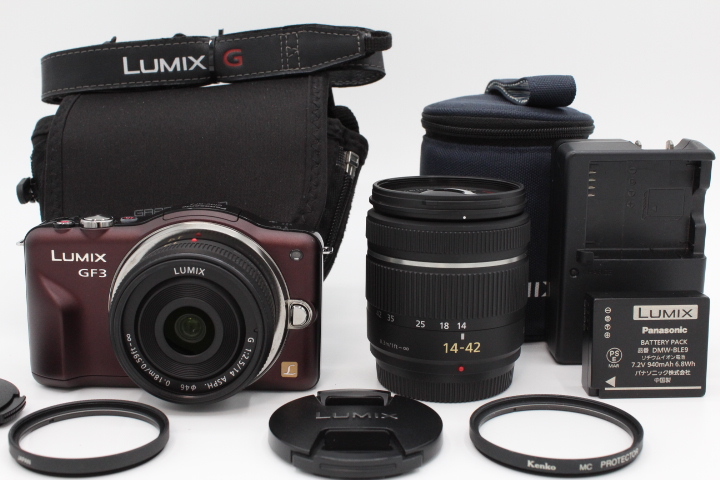 最新発見 LUMIX ミラーレス一眼カメラ パナソニック ＜＜専用ケース