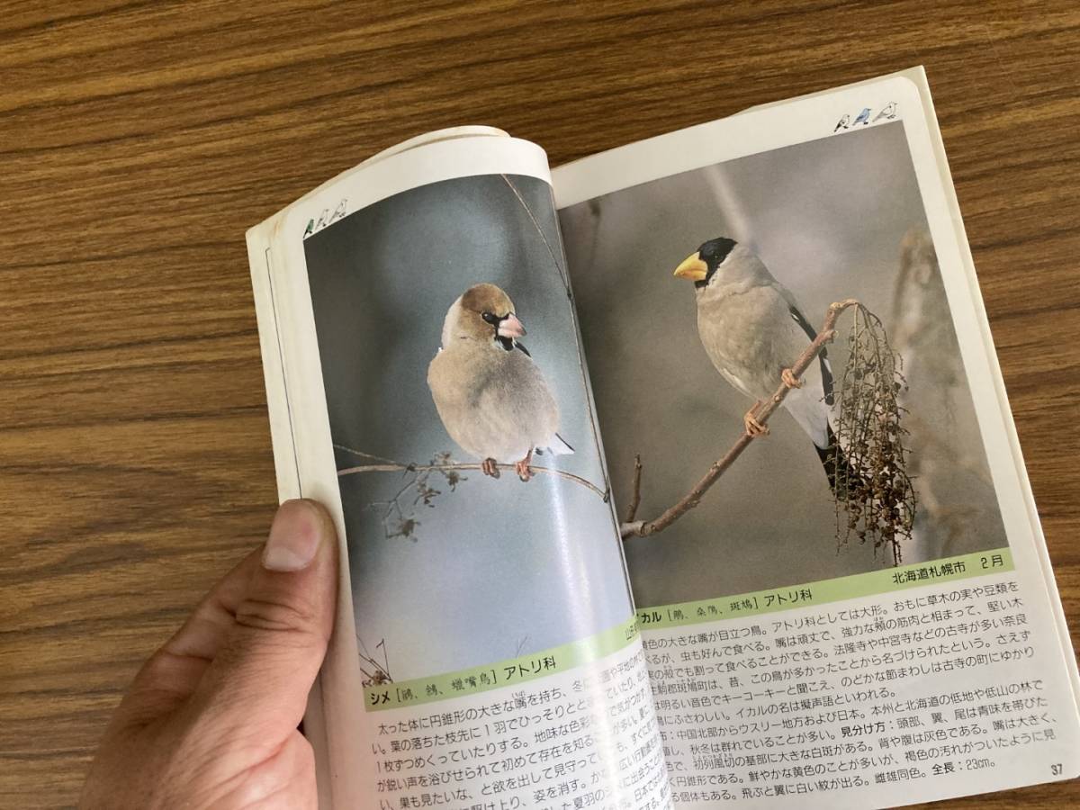 フィールドガイド 日本の野鳥_画像8