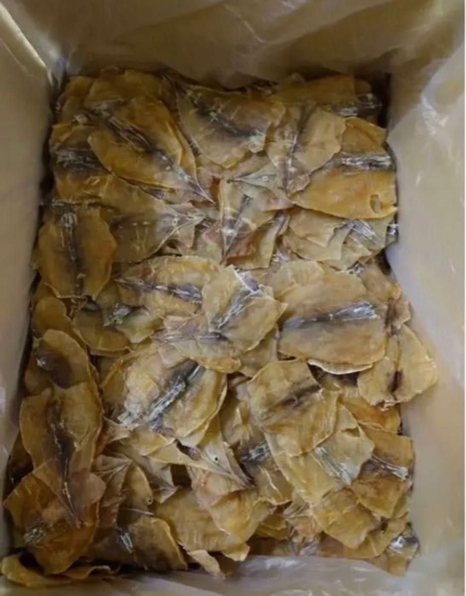 前浜するめだるま【1kg】SSサイズ