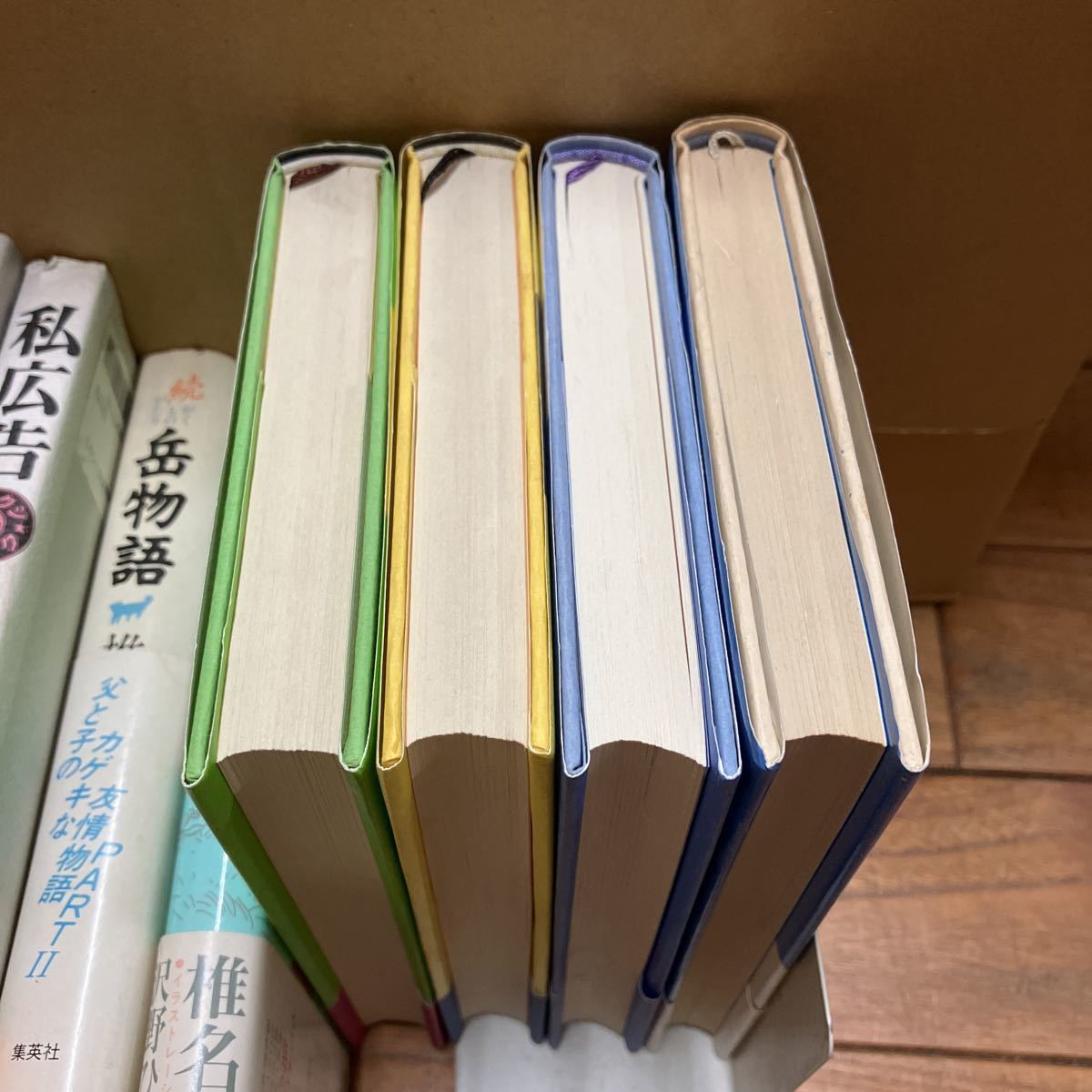 大SET-ш745/ 椎名誠 単行本 不揃い38冊まとめ あやしい探検隊 モンパの木の下で 白い手 岳物語 パタゴニア 銀座のカラス 他_画像7