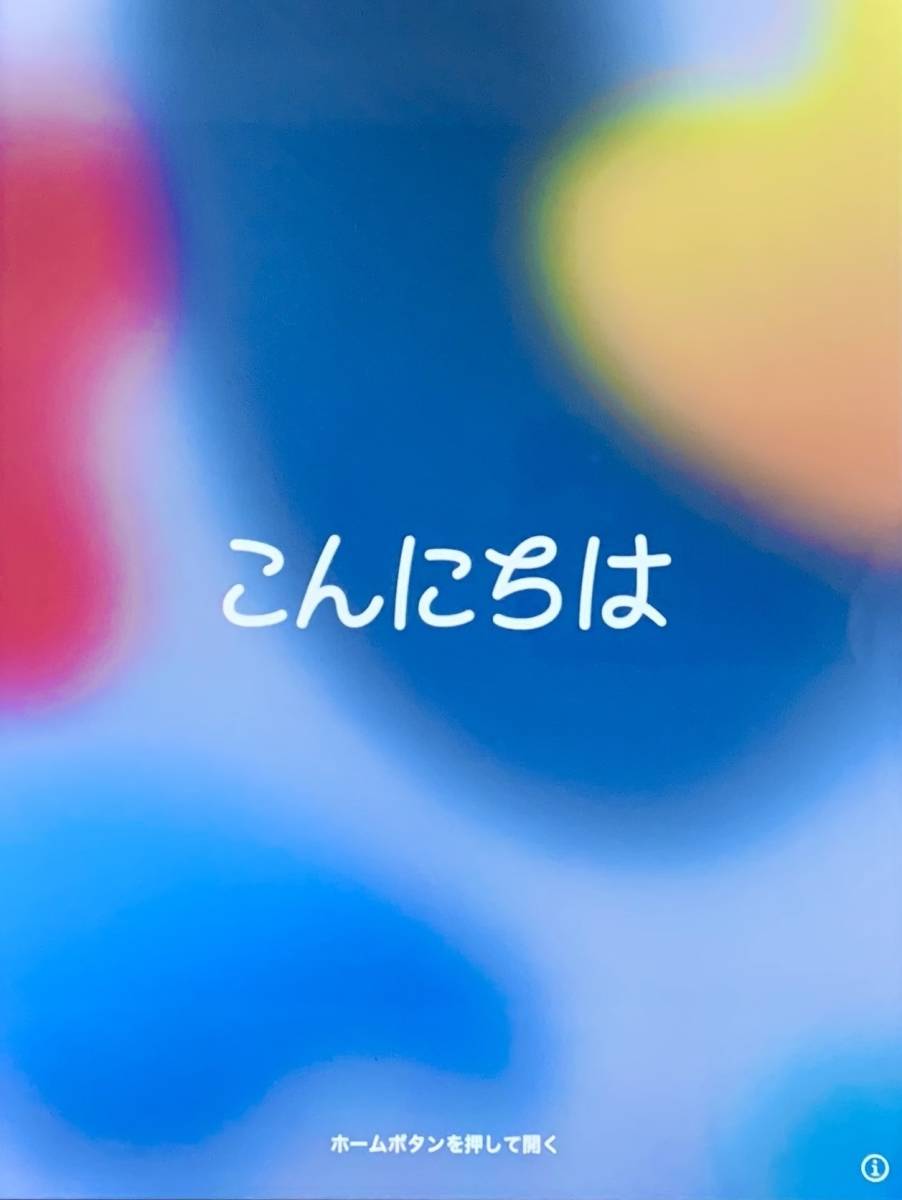 iOS最新16 iPad Pro 本体 ipad apple タブレット アイパッド iOS最新16 iPad Pro 本体 ipad apple タブレット アイパッド