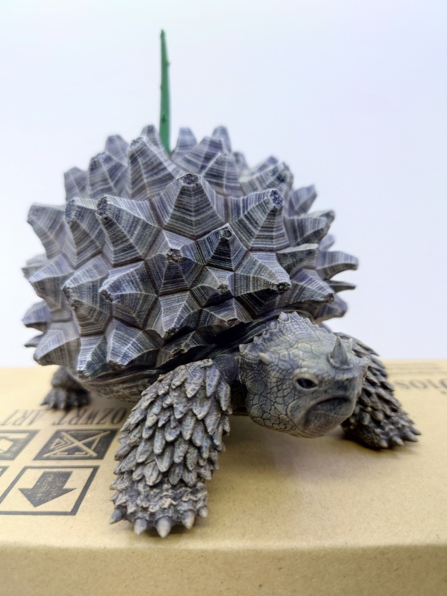 OZWRT Dioscorea Elephantipes - ヤフオク!