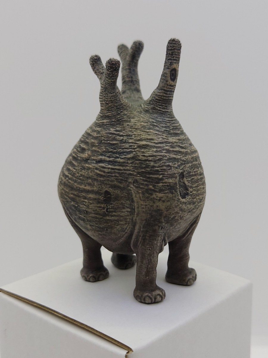 OZWRT SS TheCaudexMan Pachypodium Graciliphant オペルクリ OZWRT SS TheCaudexMan Pachypodium Graciliphant オペルクリ