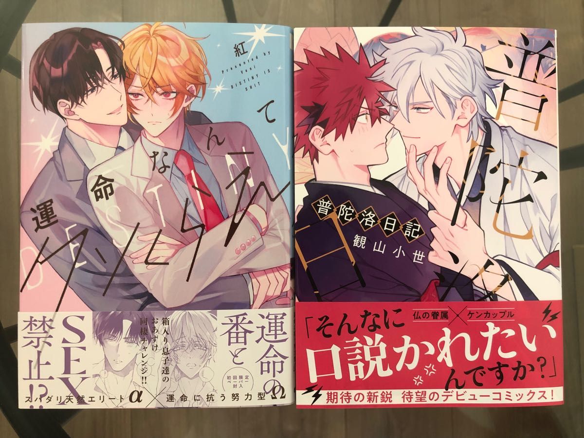 BL新刊　紅　運命なんてクソくらえ　アニメイト特典付き　観山小世　普陀洛日記　コミコミ有償特典小冊子付き　美品