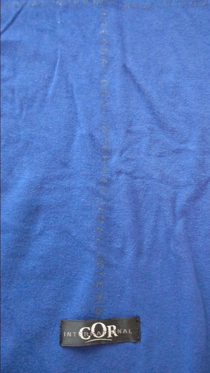 半袖Tシャツ  青色  Vネック  Mサイズ  レディース