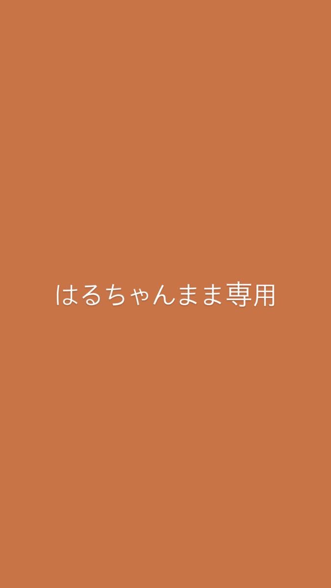 はるちゃんママ専用|PayPayフリマ