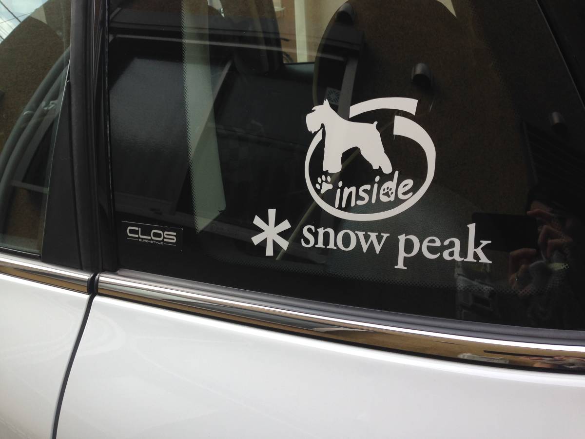 DOG IN CAR（犬が乗ってます）ステッカー　愛犬の名前入れます 　　　01_画像9