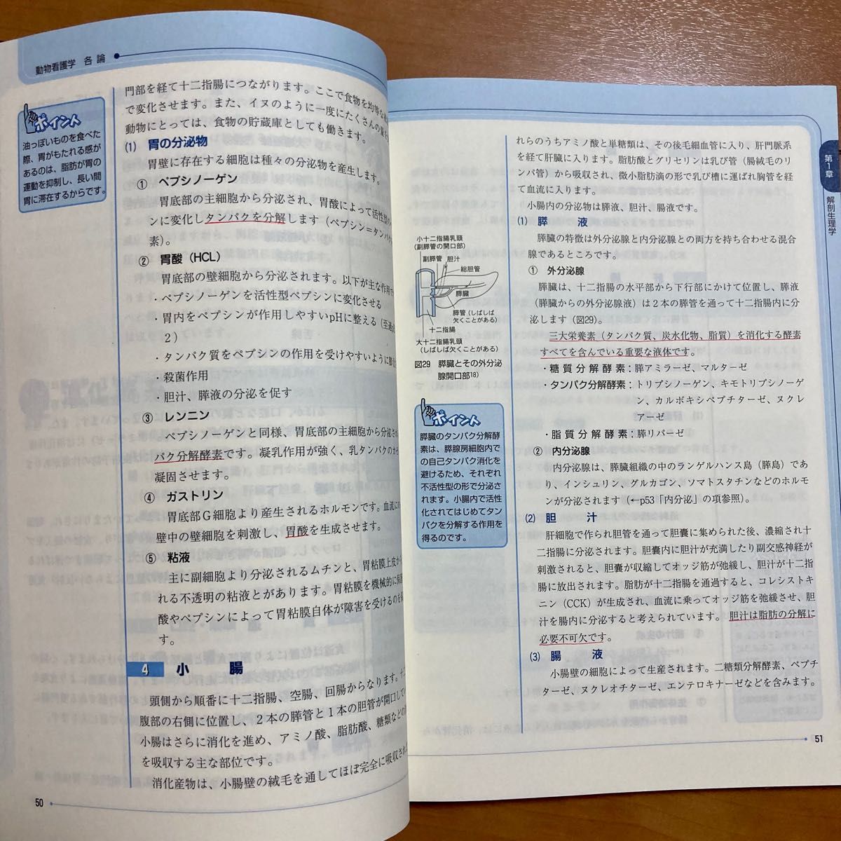 インターズー 動物看護学 各論 日本動物看護学会編 教本 教科書 動物看護師 動物看護士