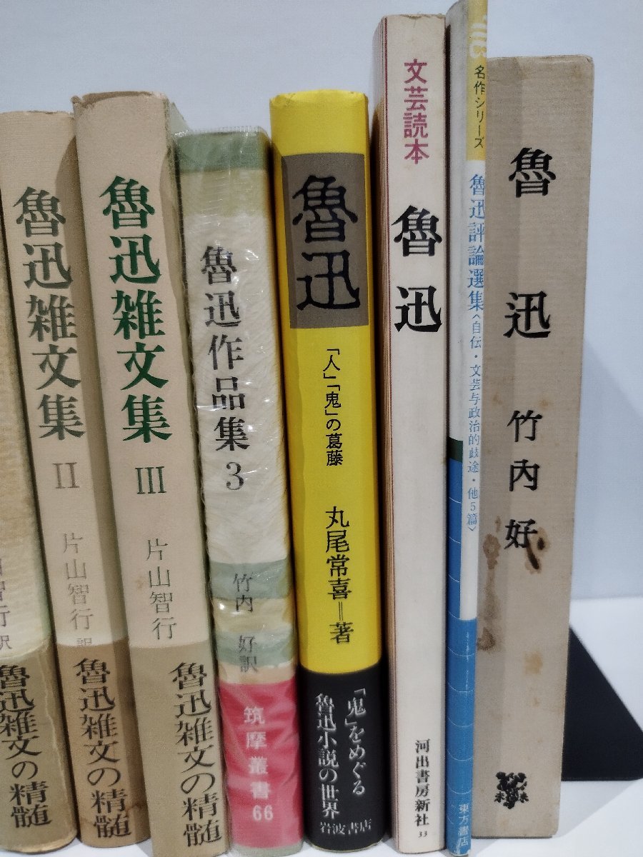 【まとめ】魯迅 12冊セット 魯迅雑文集/片山智行/竹内好/現代中国文学全集/魯迅の紹興【ac05b】_画像3