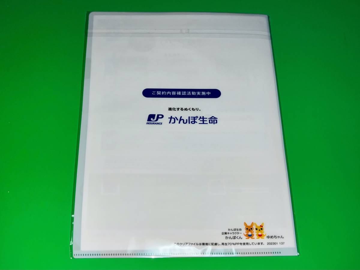 ☆★未開封非売品入手困難/DREAMS COME TRUE(ドリームズカムトゥルー)×かんぽ生命/両面クリアファイル/ドリカム/★☆_画像2