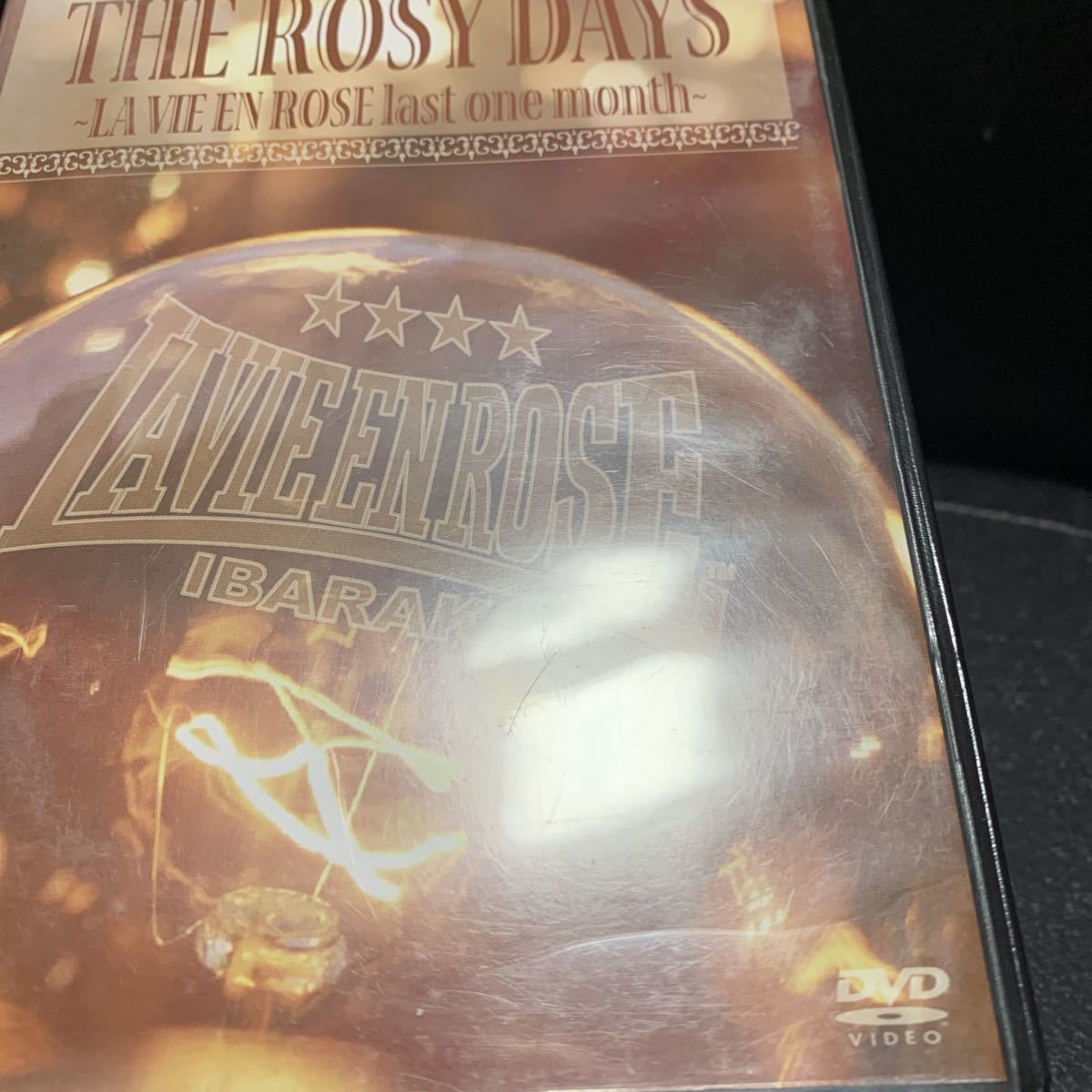 DVD　ラヴィアンローズ The Rosy Days LA VIE EN ROSE last one month_画像8
