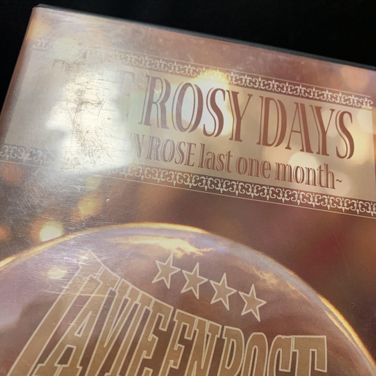 DVD　ラヴィアンローズ The Rosy Days LA VIE EN ROSE last one month_画像6