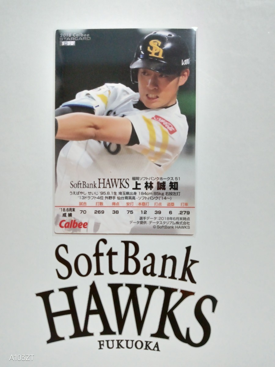 NPB カルビー プロ野球 チップス スターカード 福岡ソフトバンクホークス S-50 上林誠知 背番号 51 右投 左打者 外野手 仙台育英高校出身_画像2