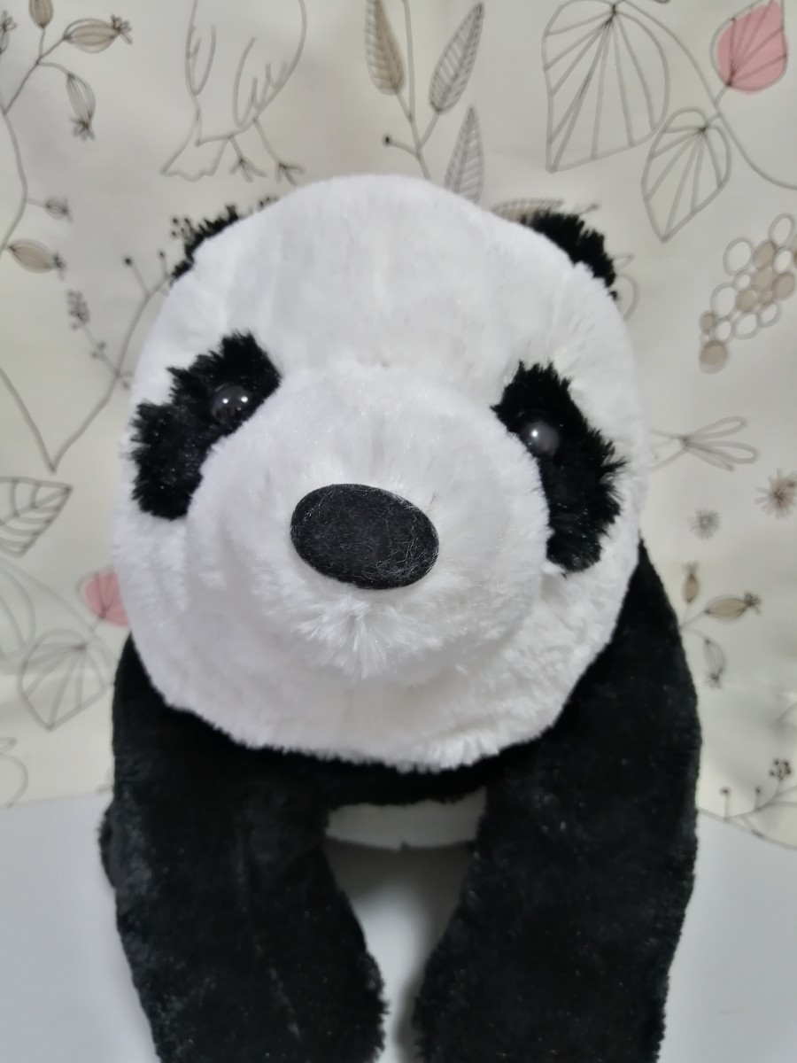 Panda Plush Panda Bear Cat