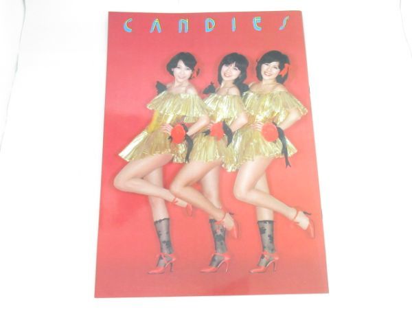W 17-7 that time thing idol photoalbum Candies goodbye Candies final car ni bar size :36.3×25.7cm