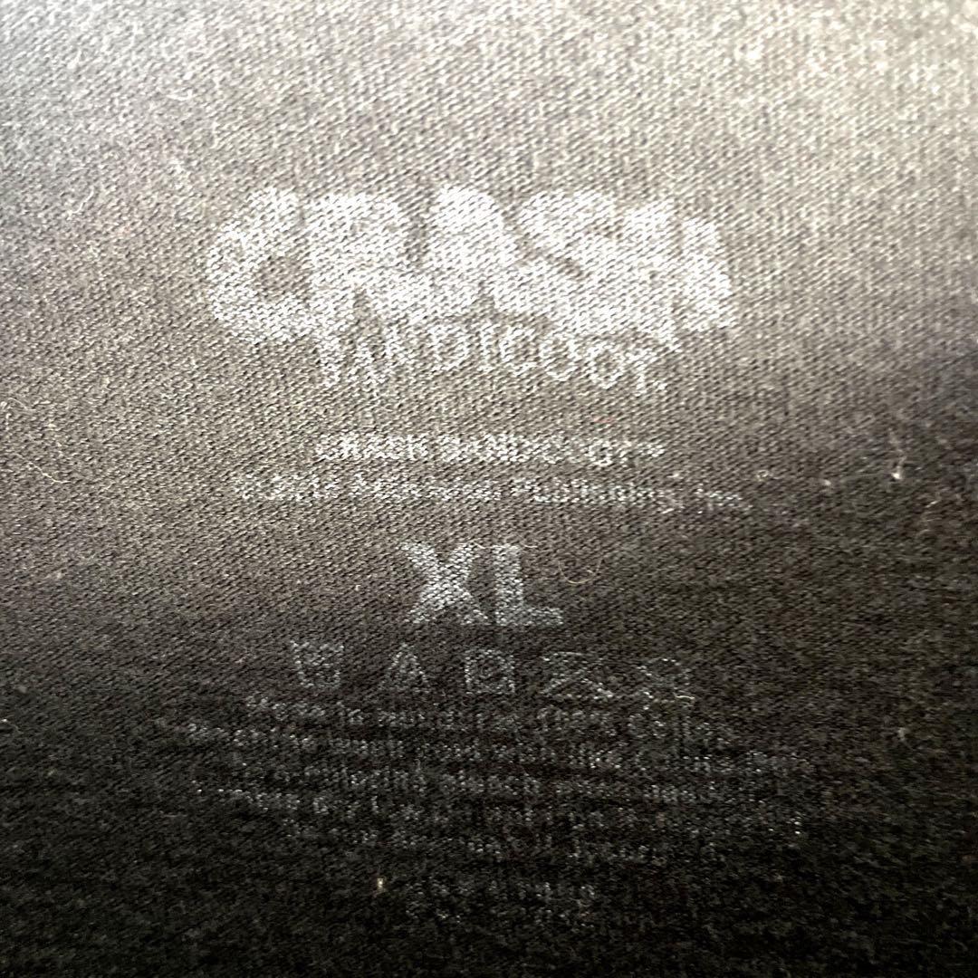 CRASH クラッシュ・バンディクー ゲームT オフィシャツTシャツ キャラT_画像8