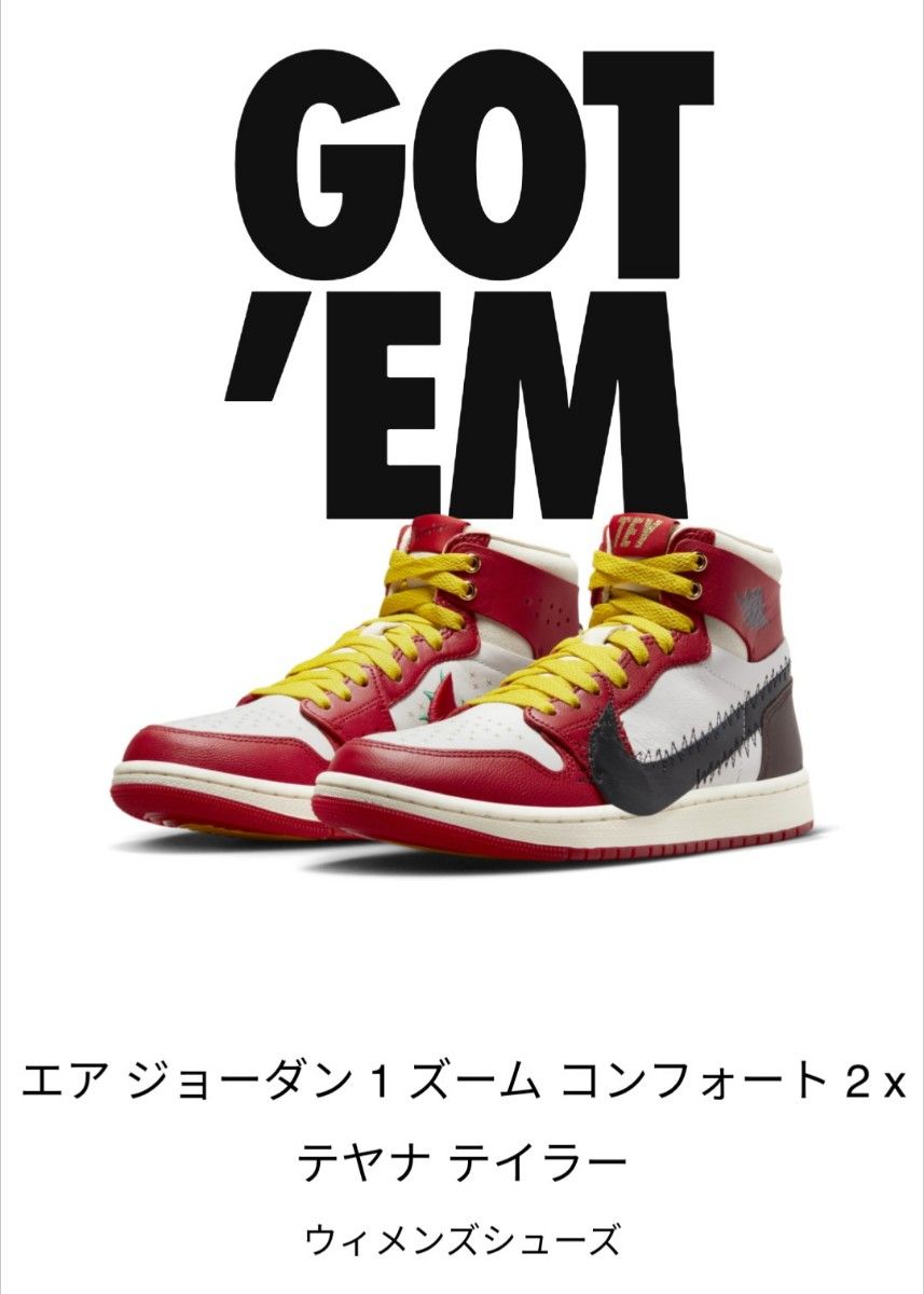 【値引き歓迎】ナイキ テヤナテイラー × AIR JORDAN1