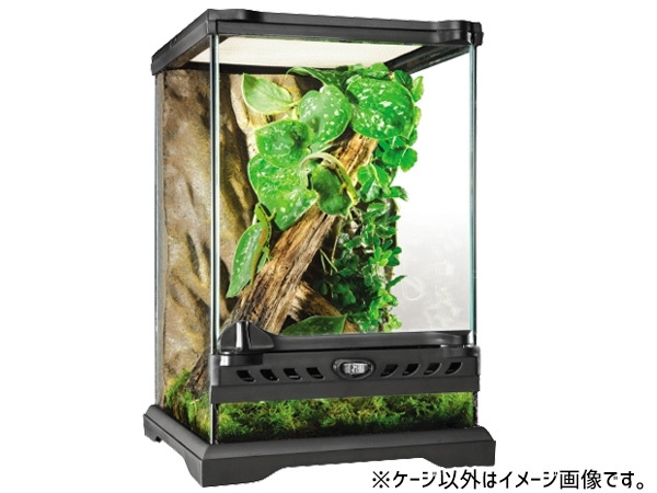 GEX グラステラリウム ナノ PT2601 爬虫類 両生類用品 爬虫類用品
