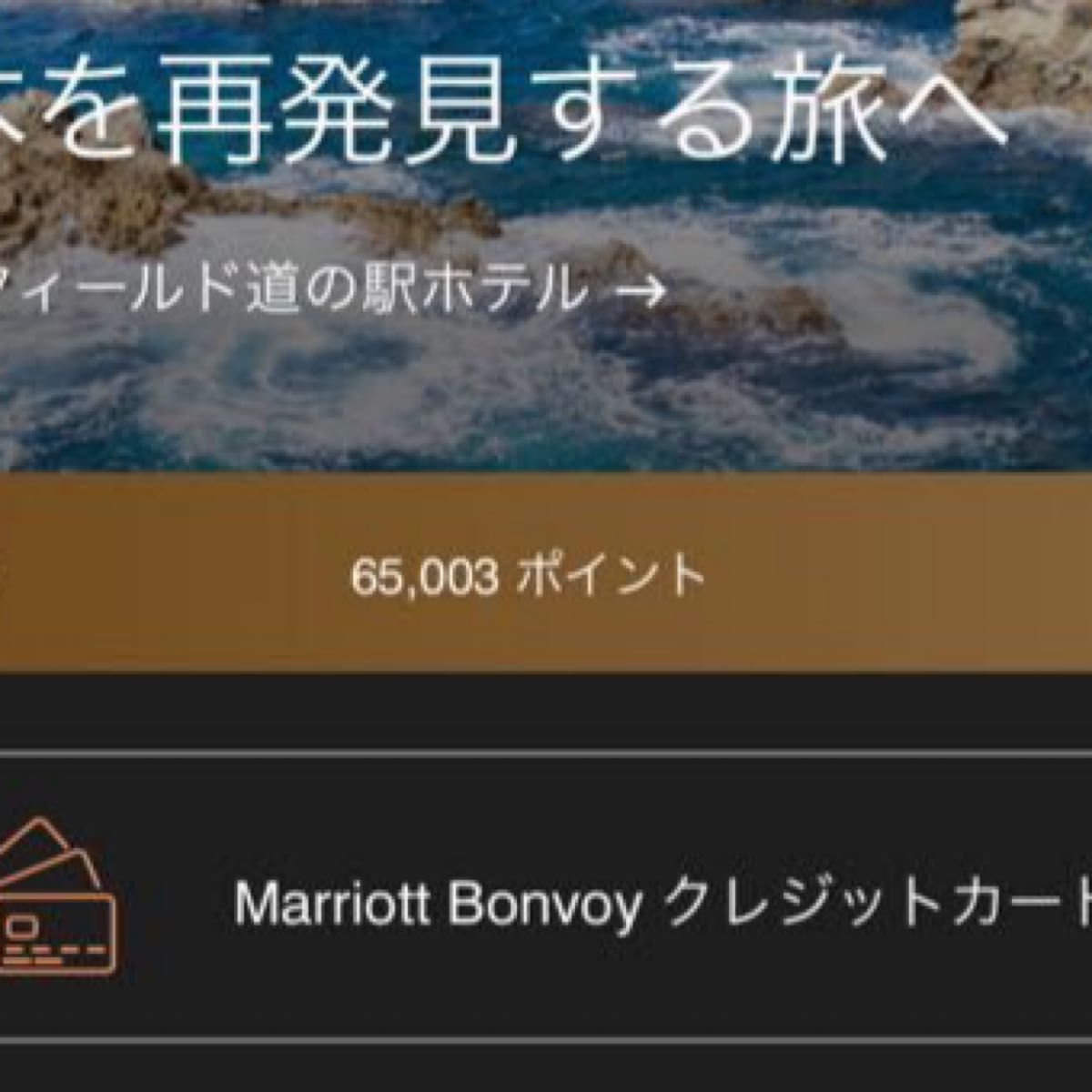 マリオットポイント Marriott Point 65000|PayPayフリマ