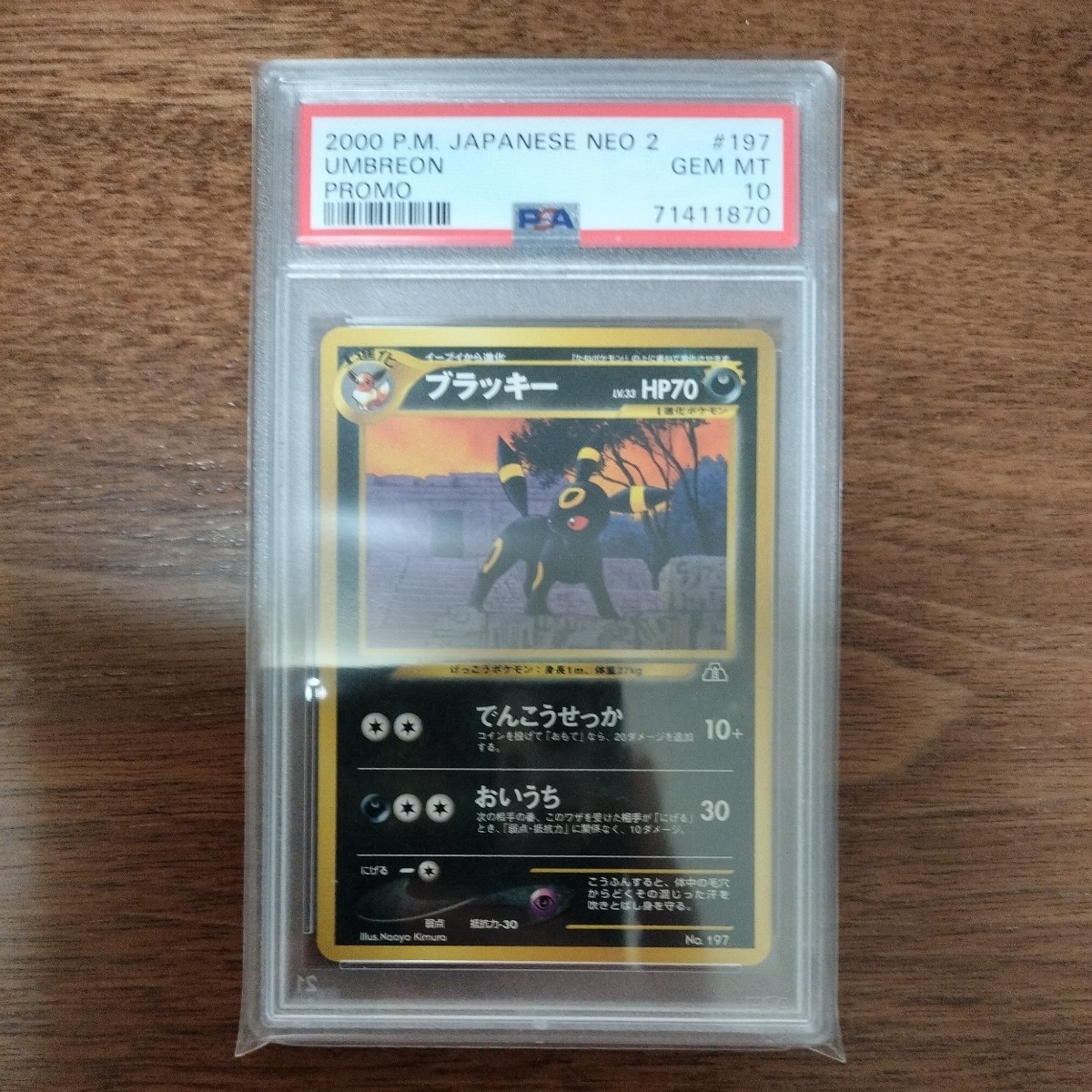 PSA10】 ブラッキー Lv.33 プロモ プレミアムファイル2 ポケモンカード