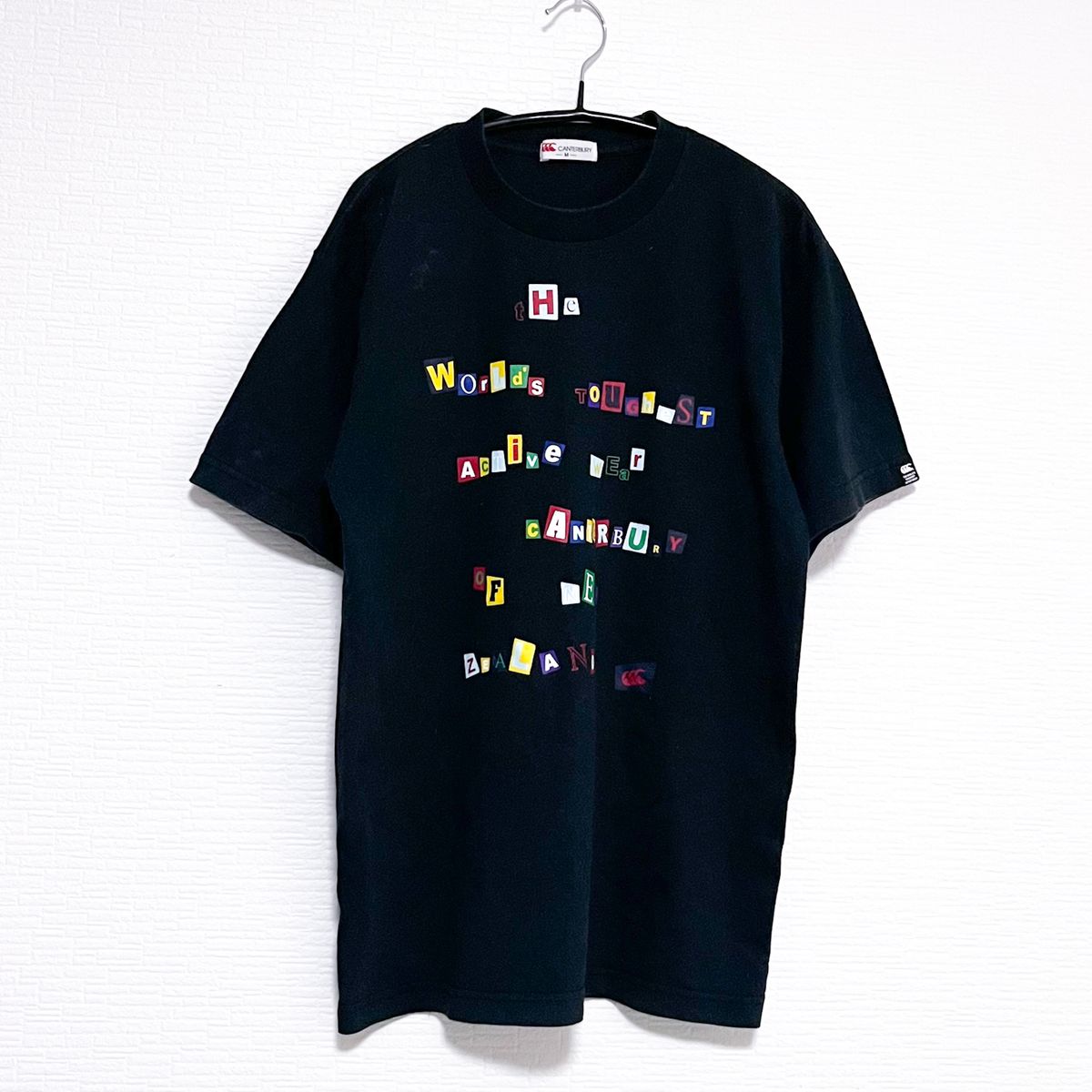 ポールスミス ペインテッド ハウスTシャツ Paul Smith COLLECTION(ポールスミスコレクション)の「ペイン