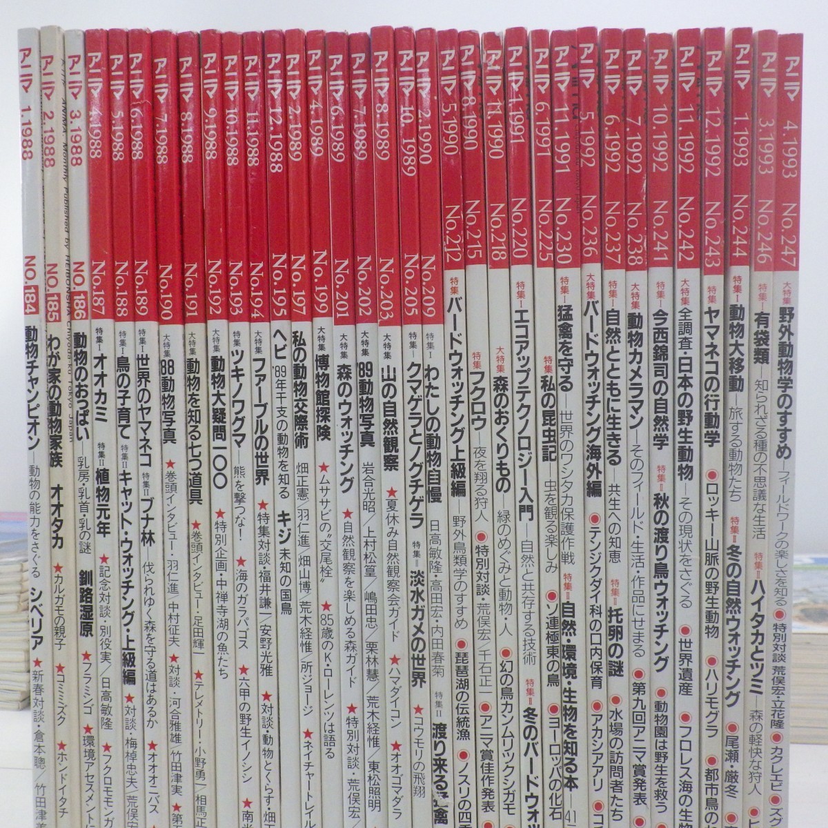 アニマ 野生からの声 まとめて109冊セット ヌケ有/1979月10月号-1993年4月号 平凡社_画像6