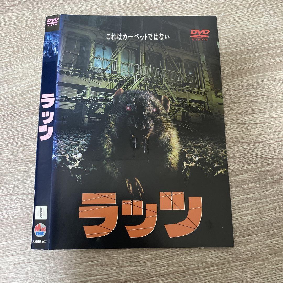 DVD ラッツ|PayPayフリマ