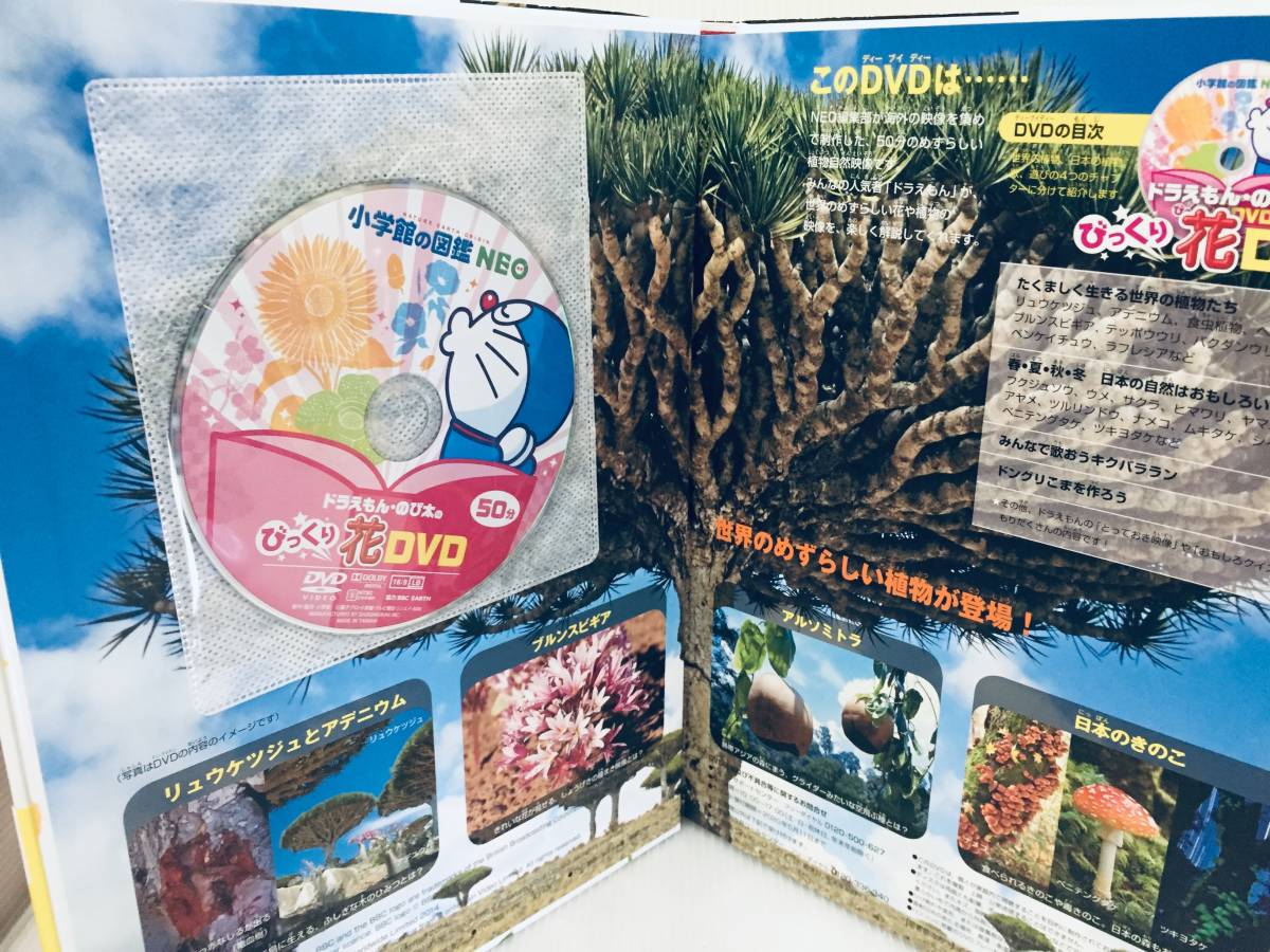 小学館の図鑑NEO/ネオ 花 未開封DVD付き|Yahoo!フリマ(旧 小学館の図鑑NEO/ネオ 花 未開封DVD付き|Yahoo!フリマ(旧
