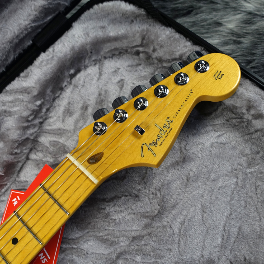 Fender American Professional II Stratocaster Dark Night_画像4