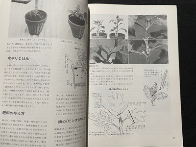 ｓ〇〇 平成3年 第6刷 図解・初歩の菊作り 全日本菊花連盟 主婦の友社 書籍 K36の画像7